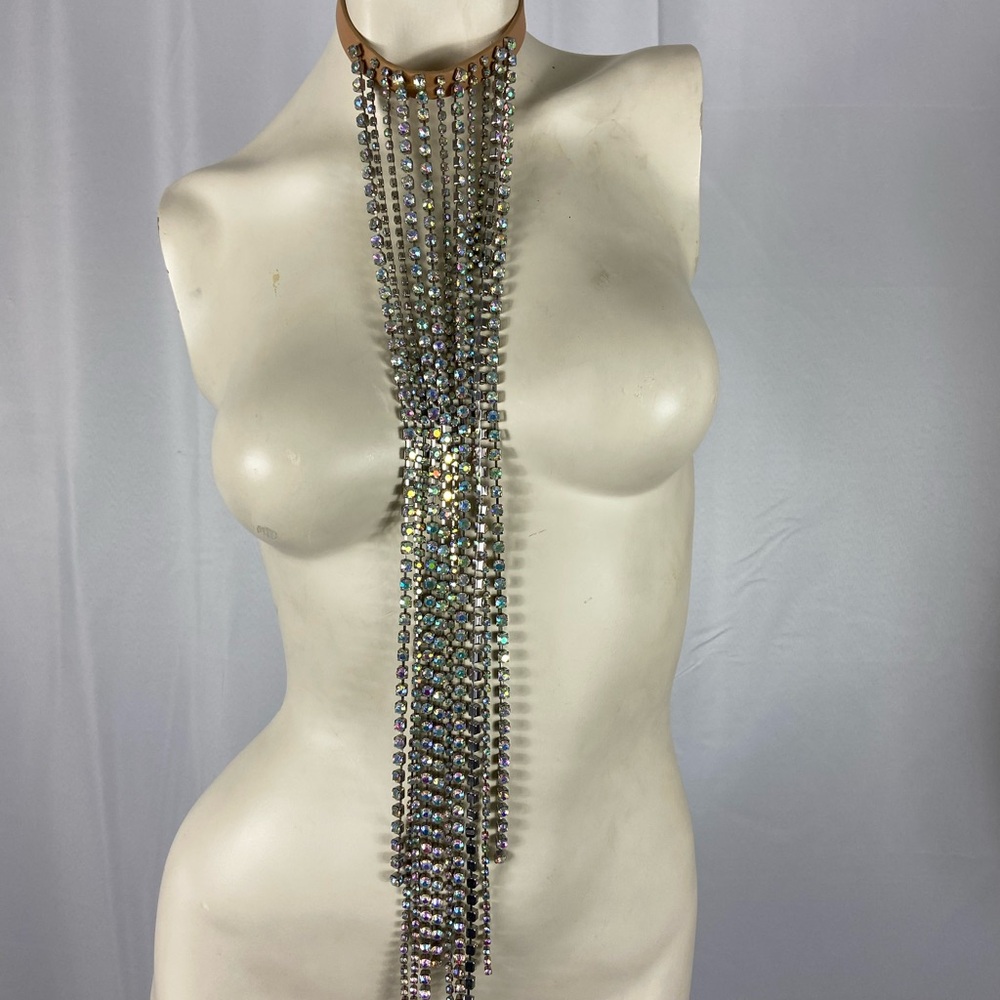 Elegant Maison Martin Mariela Rhinestone Long Statement Necklace